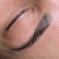 lamiando de cejas premium